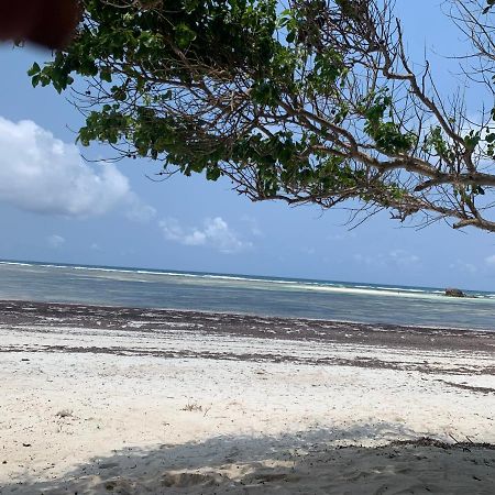 Kamakuti Villa واتامو المظهر الخارجي الصورة